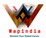 Wapindia Digital Marketing Agency