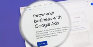 Wapindia Digital Marketing Agency Google Ads